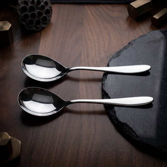 Black Carrot 304 Food Grade Stainless Steel Silver Mirror Finish Serving Spoon Set of 2 BlackCarrot