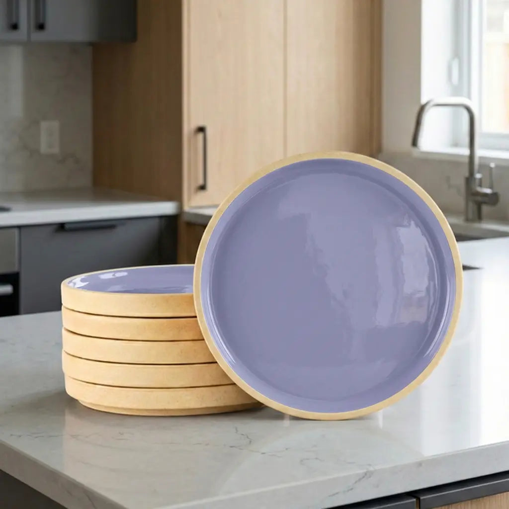 Black Carrot Purple Dinner Plates Set of 6, Bone China Free Stoneware BlackCarrot
