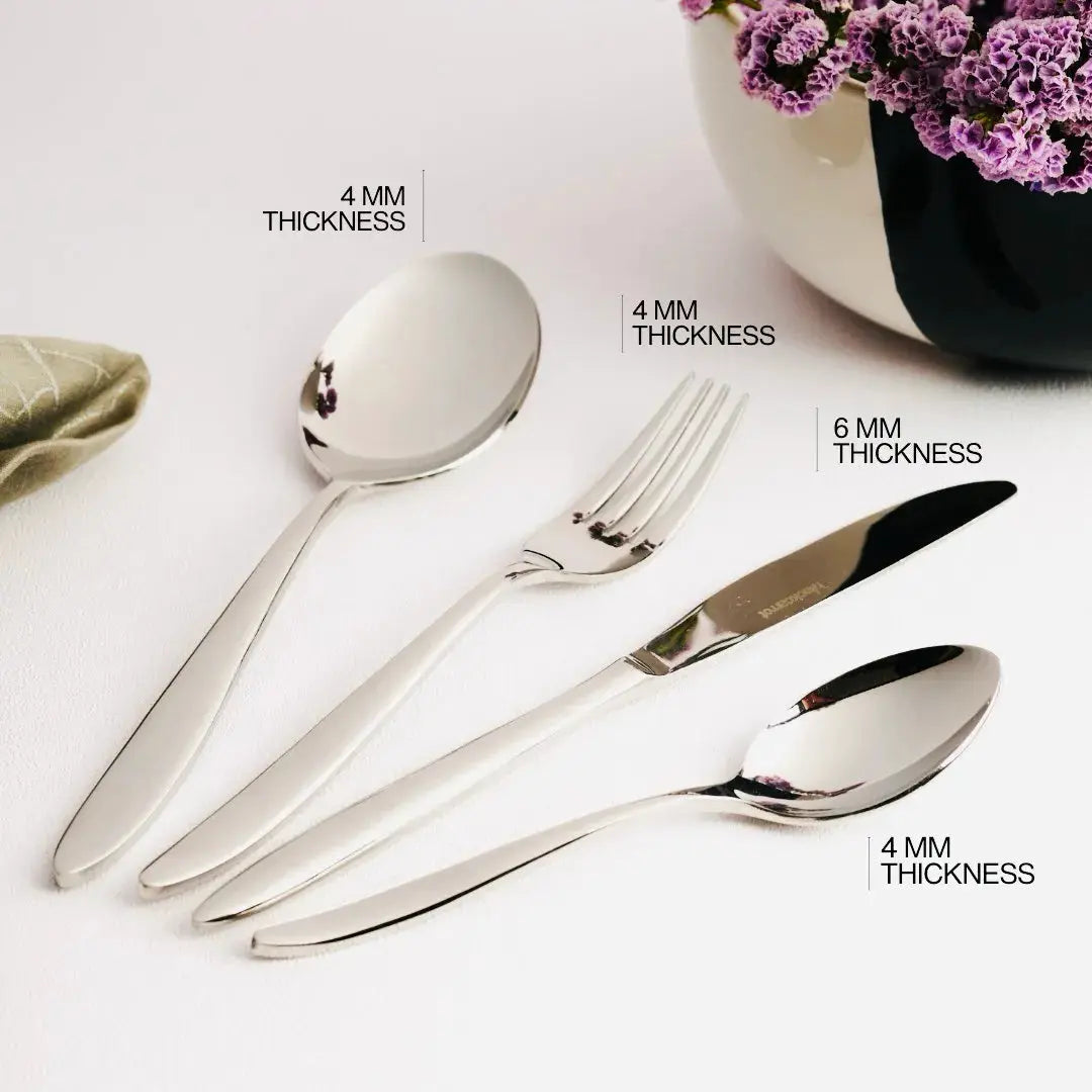 Stainless Steel Silver Cutlery Set of 20 Pcs BlackCarrot