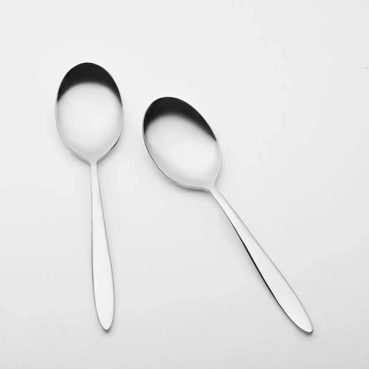 Stainless Steel Silver Finish Serving Spoon Set of 2 BlackCarrot