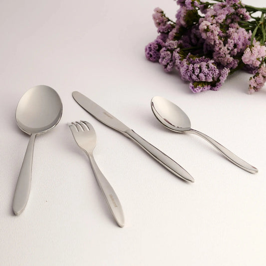 Stainless Steel Silver Finish Serving Spoon Set of 2 BlackCarrot