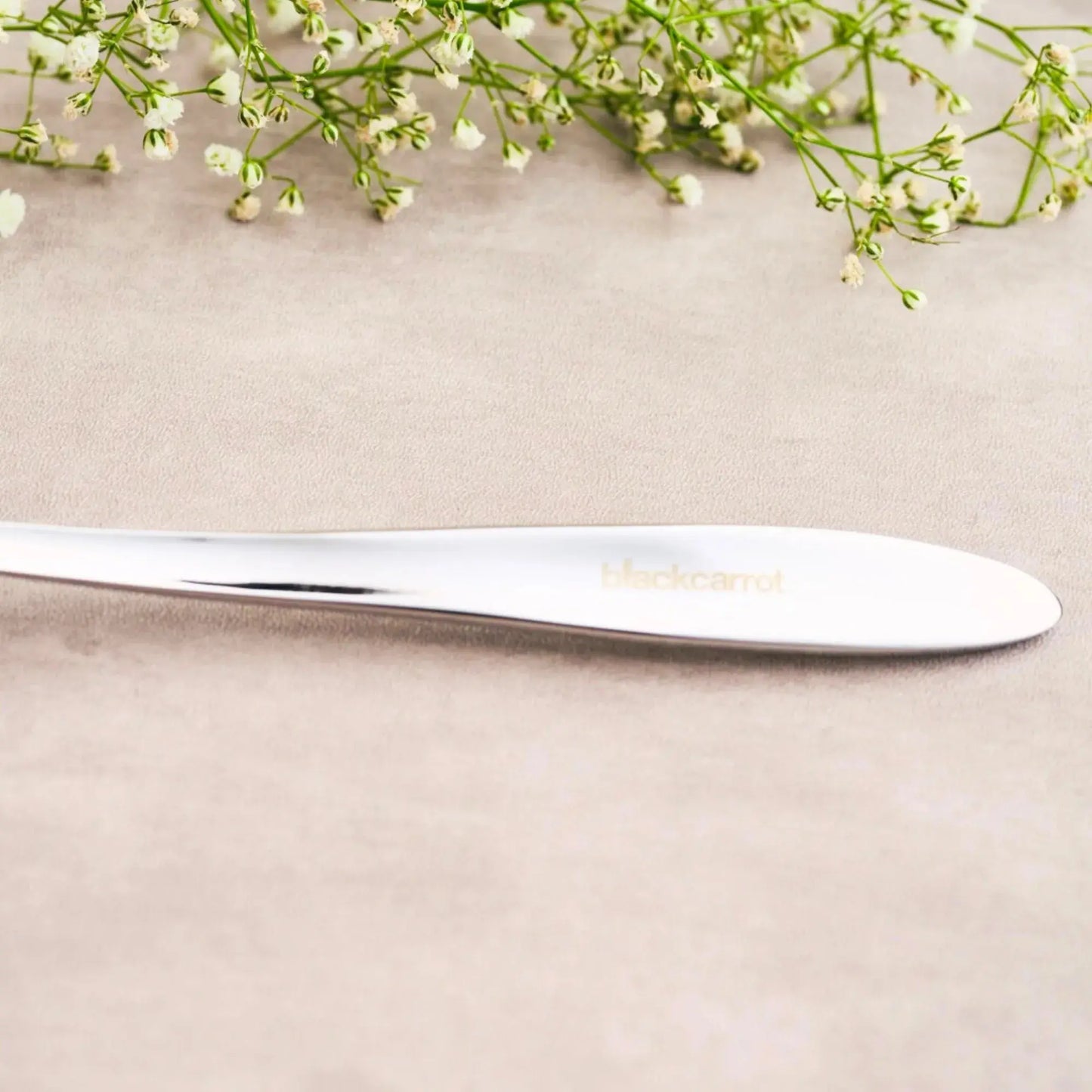 Stainless Steel Silver Fork Set of 6 BlackCarrot