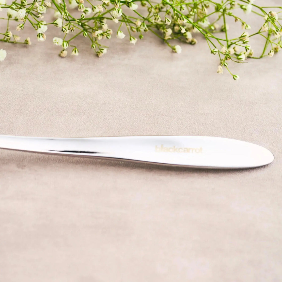 Stainless Steel Silver Fork Set of 6 BlackCarrot