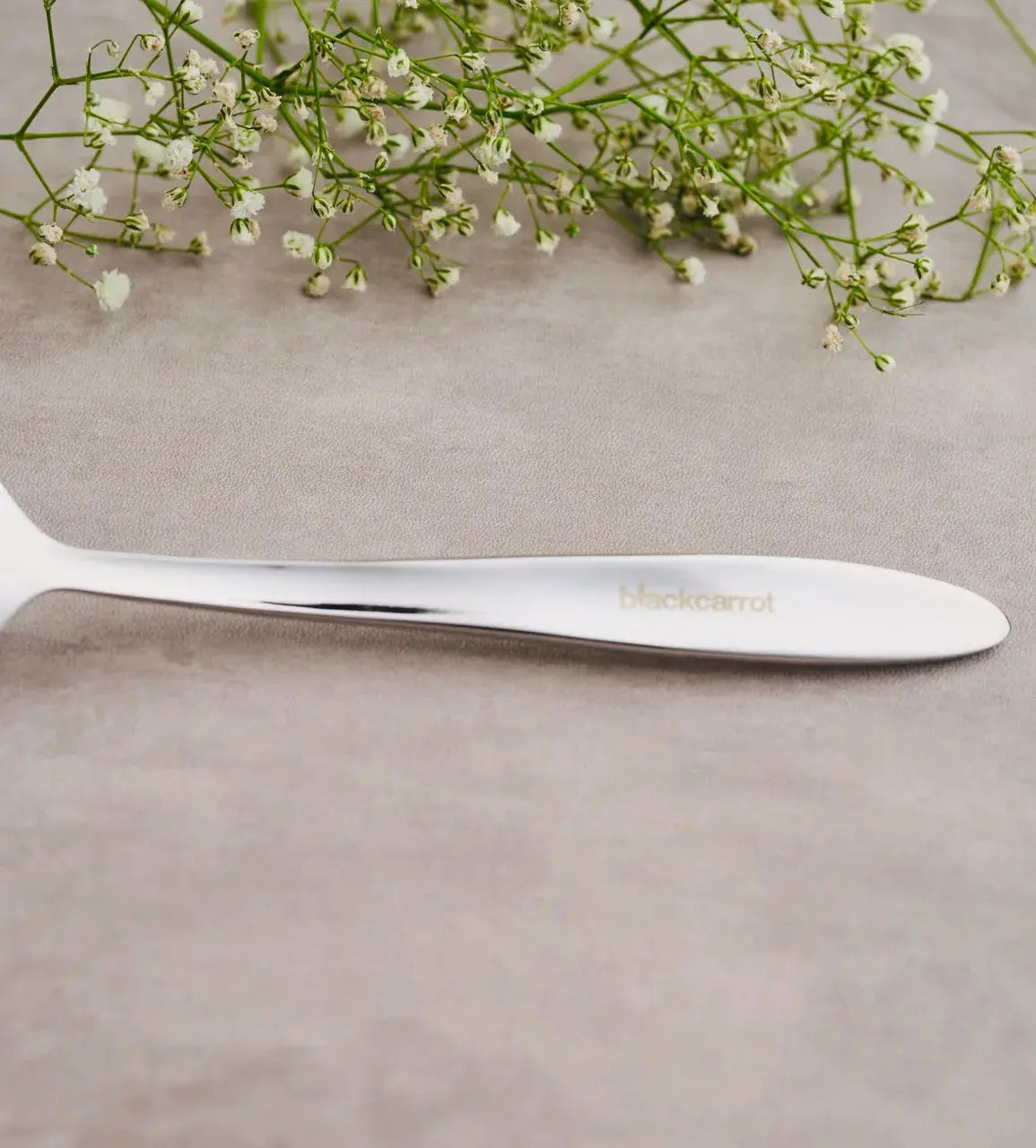 Stainless Steel Silver Spoon Set of 6 BlackCarrot