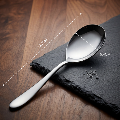 Black Carrot 304 Food Grade Stainless Steel Silver Mirror Finish Serving Spoon Set of 2 BlackCarrot