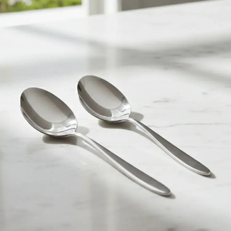 Black Carrot 304 Food Grade Stainless Steel Silver Finish Serving Spoon Set of 2 BlackCarrot
