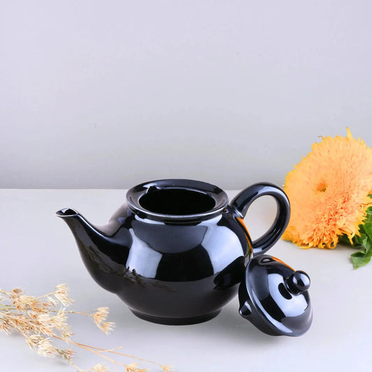 Black Stoneware Kettle Set of 1 BlackCarrot