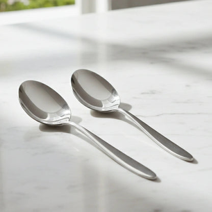 Stainless Steel Silver Finish Serving Spoon Set of 2 | 304 Food Grade BlackCarrot