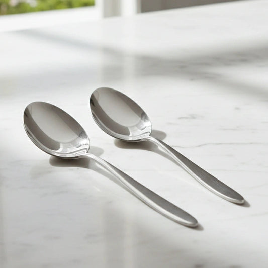 Stainless Steel Silver Finish Serving Spoon Set of 2 | 304 Food Grade BlackCarrot