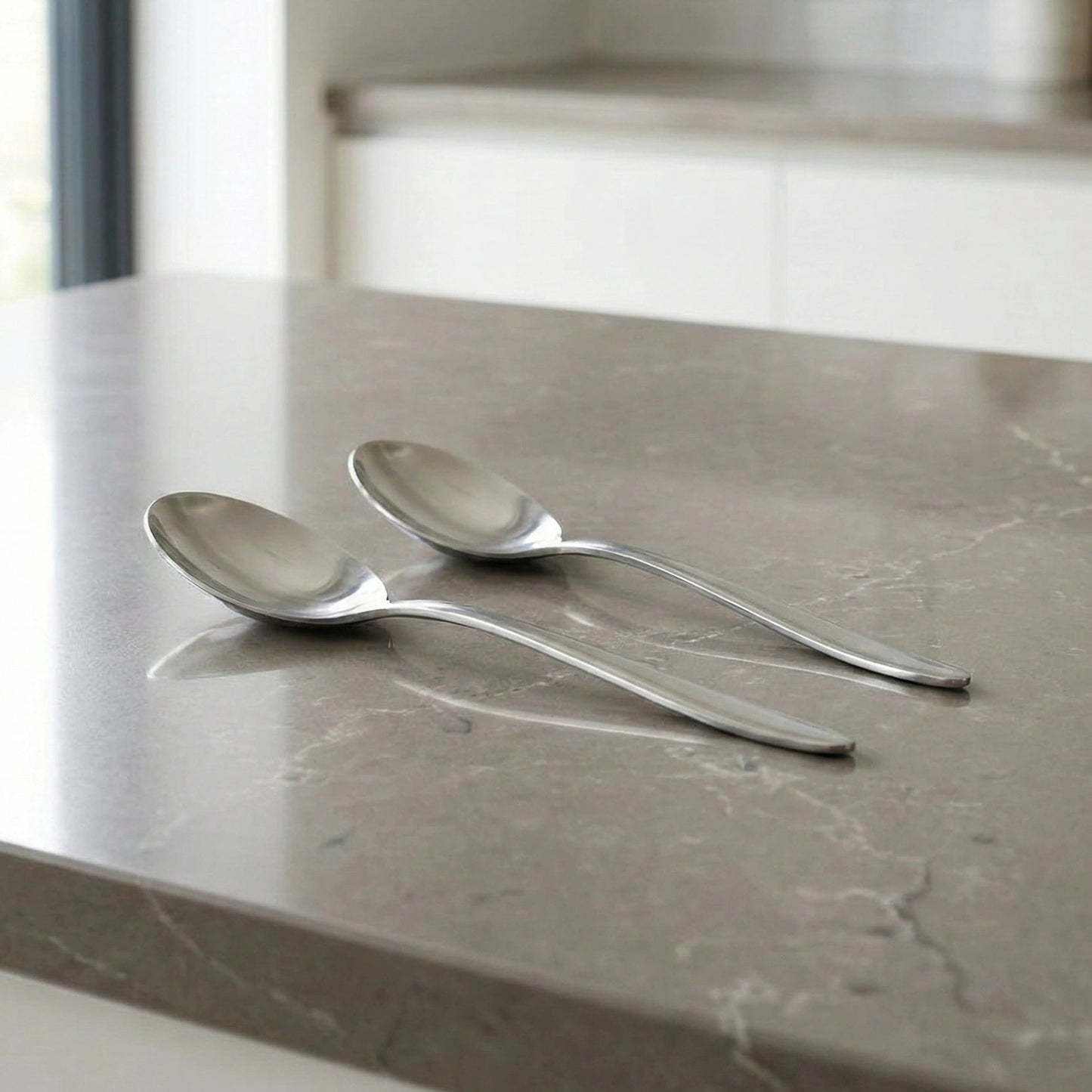 Stainless Steel Silver Finish Serving Spoon Set of 2 | 304 Food Grade BlackCarrot